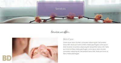 Serenity Sunflower Service Page Layout